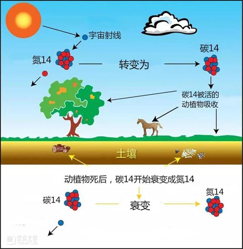 远古文物的年代，博物馆是怎么知道的？（文末有超强赠书福利） 博物馆 文物 年代 福利 远古 时候 外表 大明宣德年制 大清 康熙 崇真艺客
