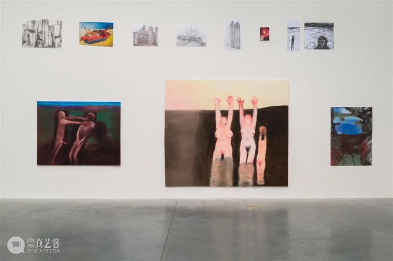 同行/不熄之怒 | Miriam Cahn Miriam Cahn 同行 瑞士 画家 目前 生活 工作 巴塞尔 贝耶尔 崇真艺客