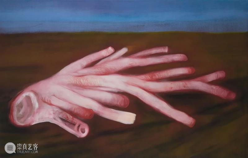 同行/不熄之怒 | Miriam Cahn Miriam Cahn 同行 瑞士 画家 目前 生活 工作 巴塞尔 贝耶尔 崇真艺客