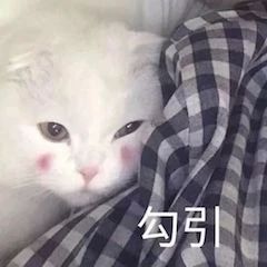 7部王家卫电影4K修复；漫威否认《黑豹2》用数字替身 王家卫 电影 漫威 黑豹2 数字 替身 影视 好剧 小豆 Films 崇真艺客