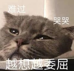 7部王家卫电影4K修复；漫威否认《黑豹2》用数字替身 王家卫 电影 漫威 黑豹2 数字 替身 影视 好剧 小豆 Films 崇真艺客