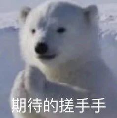 7部王家卫电影4K修复；漫威否认《黑豹2》用数字替身 王家卫 电影 漫威 黑豹2 数字 替身 影视 好剧 小豆 Films 崇真艺客
