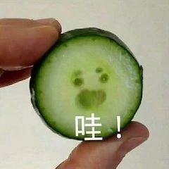 7部王家卫电影4K修复；漫威否认《黑豹2》用数字替身 王家卫 电影 漫威 黑豹2 数字 替身 影视 好剧 小豆 Films 崇真艺客