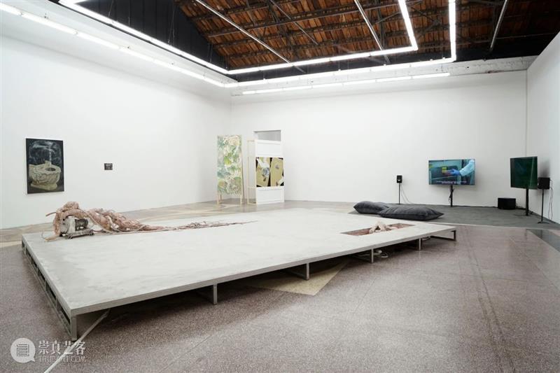 现场 | Breathing Through Skin 切肤之息 现场 天线 空间 群展 李佳桓策划 艺术家 李美来 李泳翔 Wood 作品 崇真艺客