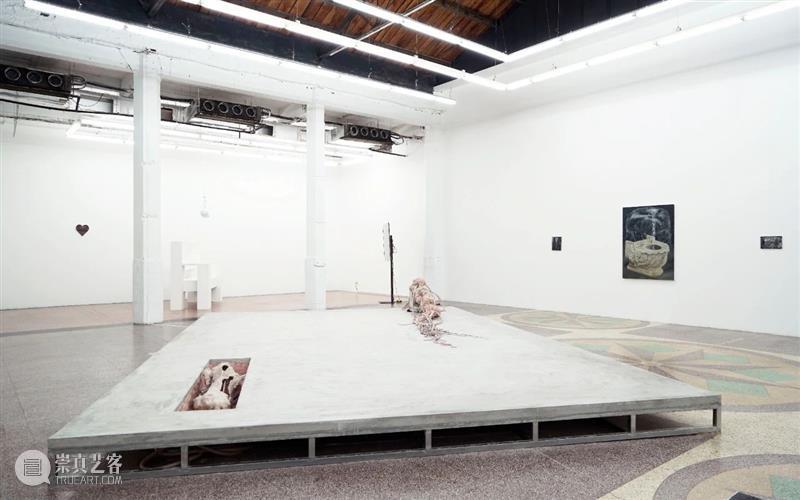 现场 | Breathing Through Skin 切肤之息 现场 天线 空间 群展 李佳桓策划 艺术家 李美来 李泳翔 Wood 作品 崇真艺客