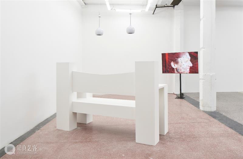 现场 | Breathing Through Skin 切肤之息 现场 天线 空间 群展 李佳桓策划 艺术家 李美来 李泳翔 Wood 作品 崇真艺客
