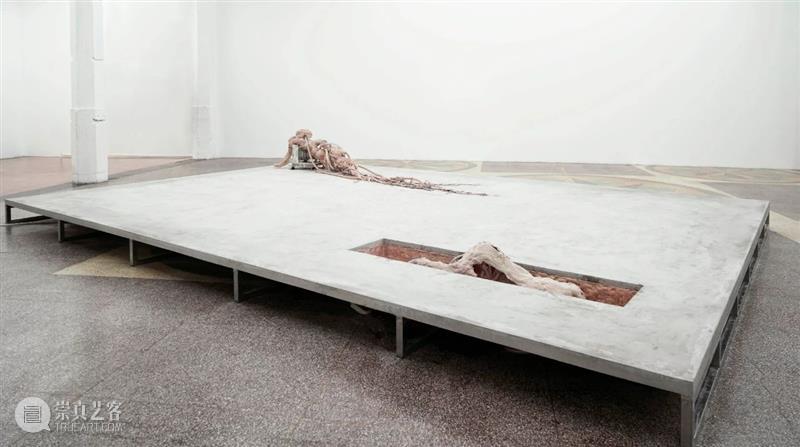 现场 | Breathing Through Skin 切肤之息 现场 天线 空间 群展 李佳桓策划 艺术家 李美来 李泳翔 Wood 作品 崇真艺客