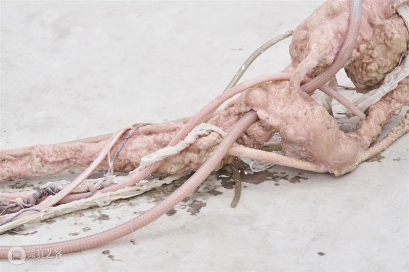 现场 | Breathing Through Skin 切肤之息 现场 天线 空间 群展 李佳桓策划 艺术家 李美来 李泳翔 Wood 作品 崇真艺客
