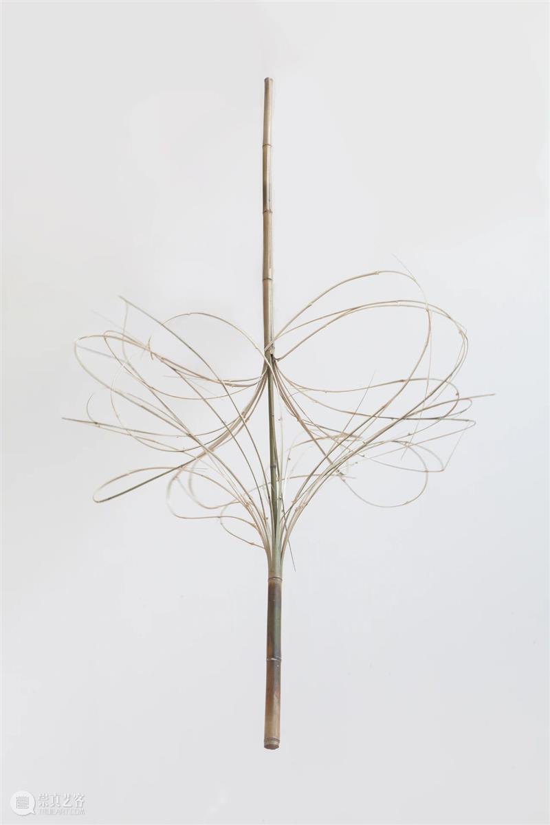 萧昱作品《BB》正于香港K11 MUSEA展出 萧昱 MUSEA 作品 香港 地点 时间 符号 艺术家 艺术 现象 崇真艺客