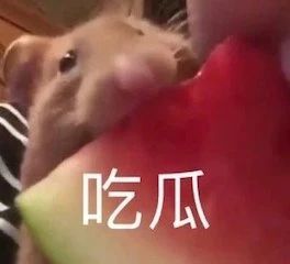 《爵迹》系列第二部定档；《神奇女侠1984》院线流媒体同天首映 爵迹 系列 神奇女侠1984 院线 流媒体 影视 好剧 小豆 定档 郭敬明 崇真艺客