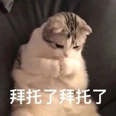 《爵迹》系列第二部定档；《神奇女侠1984》院线流媒体同天首映 爵迹 系列 神奇女侠1984 院线 流媒体 影视 好剧 小豆 定档 郭敬明 崇真艺客