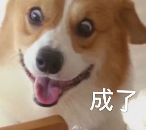 刘亦菲入围美国评论家选择奖;《素媛》案罪犯计划出狱后卖咖啡 刘亦菲 美国评论家选择奖 素媛 罪犯 咖啡 影视 好剧 小豆 花木兰 美国 崇真艺客