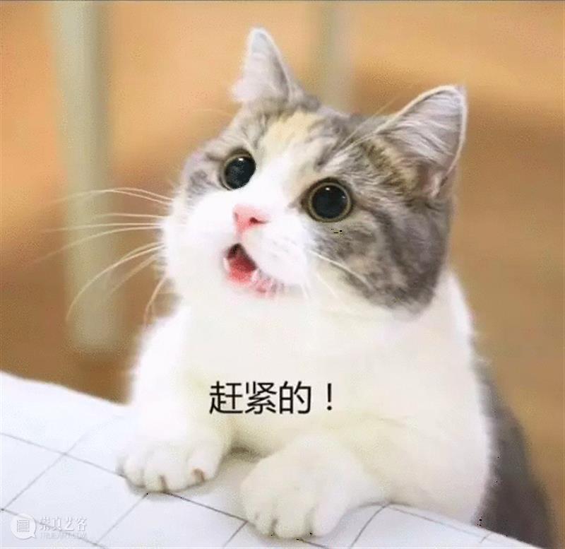 刘亦菲入围美国评论家选择奖;《素媛》案罪犯计划出狱后卖咖啡 刘亦菲 美国评论家选择奖 素媛 罪犯 咖啡 影视 好剧 小豆 花木兰 美国 崇真艺客