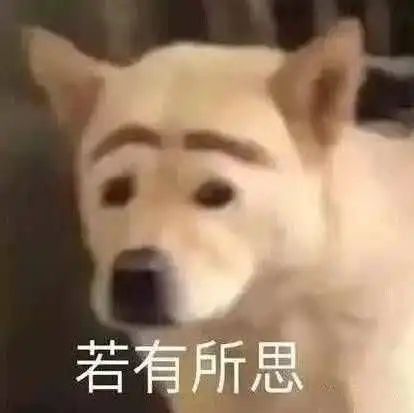刘亦菲入围美国评论家选择奖;《素媛》案罪犯计划出狱后卖咖啡 刘亦菲 美国评论家选择奖 素媛 罪犯 咖啡 影视 好剧 小豆 花木兰 美国 崇真艺客