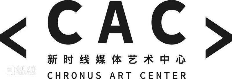 We=Link: Sideways | Online Version Goes Live Link Sideways CAC exhibition May Shanghai BLDG Bennett WafaaBilal Jonah 崇真艺客
