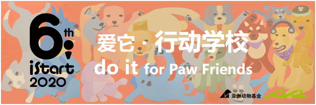 iSTART | “ 爱它,爱它们” 动物主题日来啦! 动物 主题 START 国际 艺术 中心 猫咪 狗狗 展厅 目光 崇真艺客