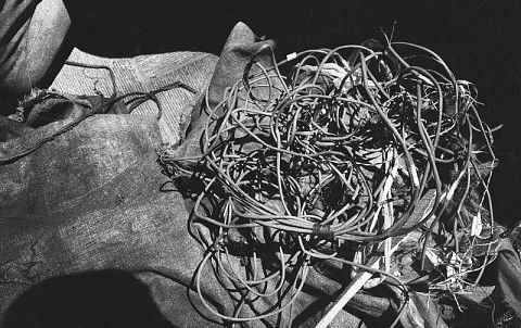 拍五条人的艺术家来开暗房课啦！｜集美·阿尔勒国际摄影季游学 集美 阿尔勒 国际 摄影季 艺术家 暗房 五条人 厦门 气候 三影堂 崇真艺客