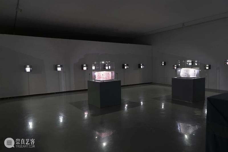 展览开放|“方力钧陶瓷”展在宋庄美术馆展出 宋庄美术馆 方力钧 陶瓷 展览 艺术 档案 宋庄美术馆二楼 南侧 展厅 作品 崇真艺客