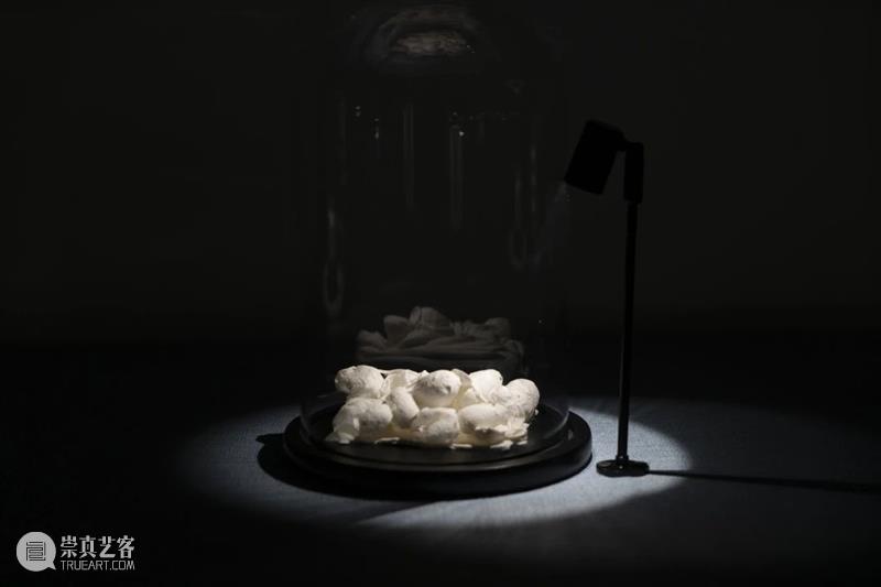 展览开放|“方力钧陶瓷”展在宋庄美术馆展出 宋庄美术馆 方力钧 陶瓷 展览 艺术 档案 宋庄美术馆二楼 南侧 展厅 作品 崇真艺客