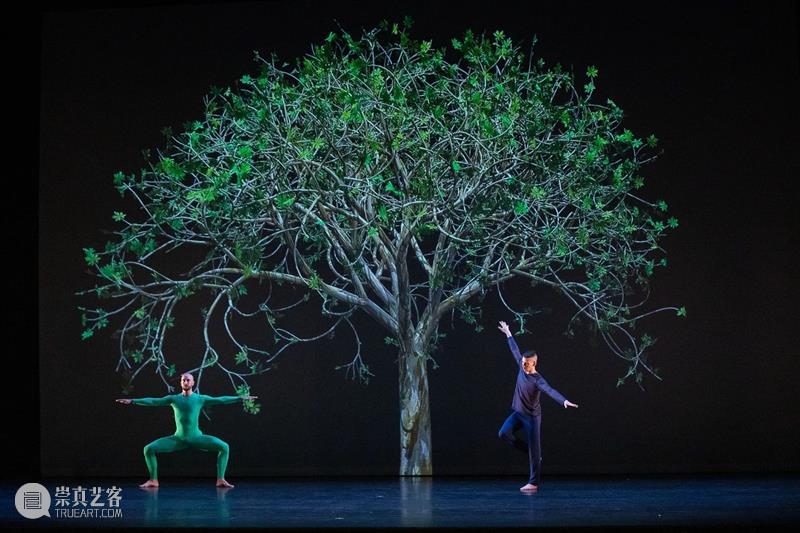 珍妮弗·施泰因坎普Jennifer Steinkamp 作品特别亮相第二届南京国际艺术节 博文精选 立木画廊LehmannMaupin 珍妮弗 施泰因坎普 南京 国际 作品 艺术节 画廊 艺术家 艺术季 场域 崇真艺客