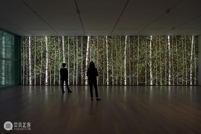 珍妮弗·施泰因坎普Jennifer Steinkamp 作品特别亮相第二届南京国际艺术节 博文精选 立木画廊LehmannMaupin 珍妮弗 施泰因坎普 南京 国际 作品 艺术节 画廊 艺术家 艺术季 场域 崇真艺客