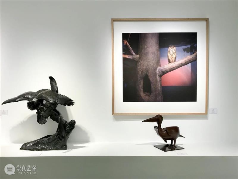 展览 EXHIBITION | 鸟的画像 Portrait d’oiseau | 杜梦堂 (巴黎) Portrait oiseau 杜梦堂 巴黎 EXHIBITION 画像 现场 oiseau群展 Group 艺术家 崇真艺客