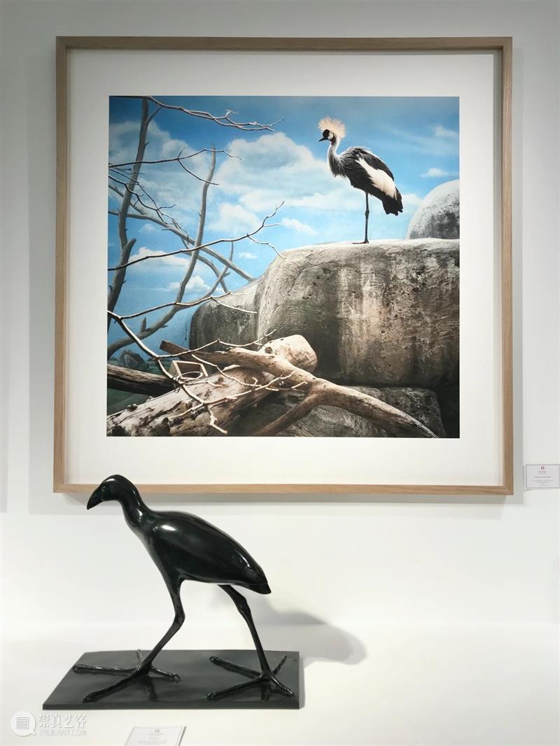 展览 EXHIBITION | 鸟的画像 Portrait d’oiseau | 杜梦堂 (巴黎) Portrait oiseau 杜梦堂 巴黎 EXHIBITION 画像 现场 oiseau群展 Group 艺术家 崇真艺客