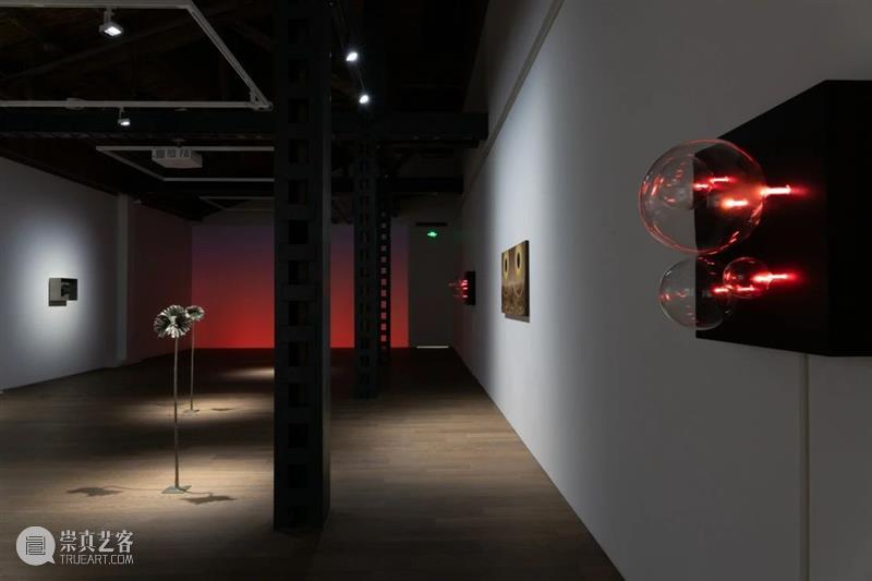 Artsy报道 | 洛朗·格拉索:我想在作品中体现某种“人造的历史记忆” 历史 洛朗 格拉索 Artsy 作品 记忆 Grasso portrait Dorn 物品 崇真艺客