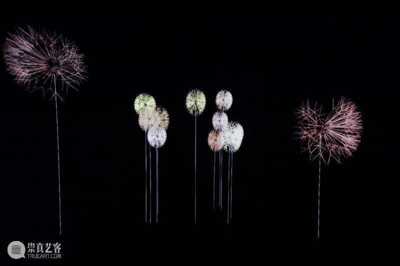 分享 | 科技+艺术，你不可错过的五件光影艺术作品 艺术 科技 作品 光影 多媒体 世界 领域 想象力 技术 环境 崇真艺客