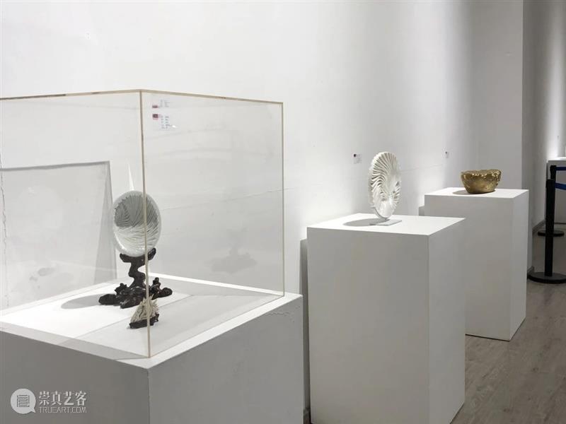 艺术家-马克·罗素德|相遇·上海当代陶瓷实验艺术展 上海 陶瓷 艺术展 艺术家 马克 罗素德 相遇 美术馆 罗素 个人 崇真艺客