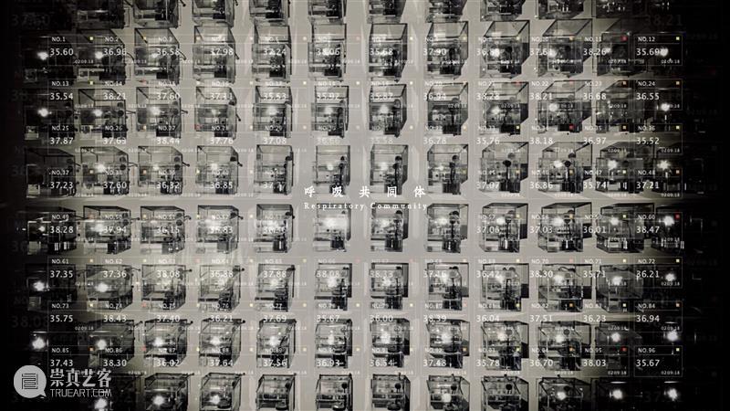 时代·预告| “共情·联接”开展在即 时代 云中 系列 公益 项目 共情 联接 主题 人类 命运 崇真艺客