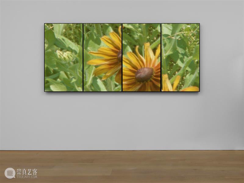卓纳画廊参加巴塞尔迈阿密海滩艺术展 卓纳 画廊 巴塞尔 迈阿密海滩 艺术展 线上 展厅 纽约 实体 空间 崇真艺客