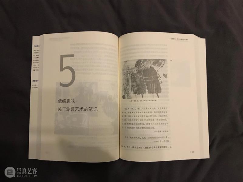 青年亚文化研究力作！摇滚音乐、波普艺术、比夫漫画……一场关于形象与物的旅行，始于19世纪早期伦敦贫民窟的小贩故事，终于在美国中西部“正午时分”搭车前往“无地之路”……让我们一起从亚文化穿越后现代主义并抵达其“另一面”→→《隐在亮光之中：流行文化中的形象与物》！  拜德雅Paideia 青年 亚文化 力作 摇滚 音乐 波普 艺术 漫画 形象 早期 崇真艺客