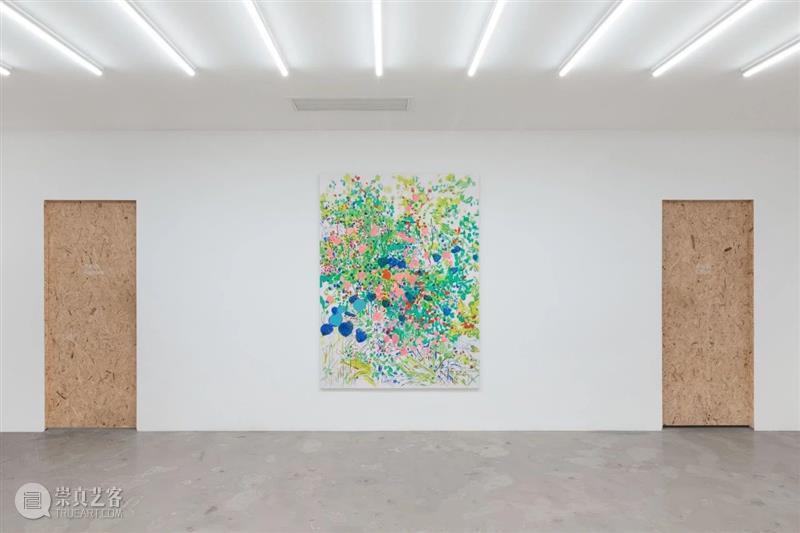 星空间｜张晖『画什么都是一样的』展览回顾  星空间StarGallery 崇真艺客