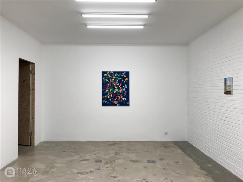 星空间｜张晖『画什么都是一样的』展览回顾  星空间StarGallery 崇真艺客