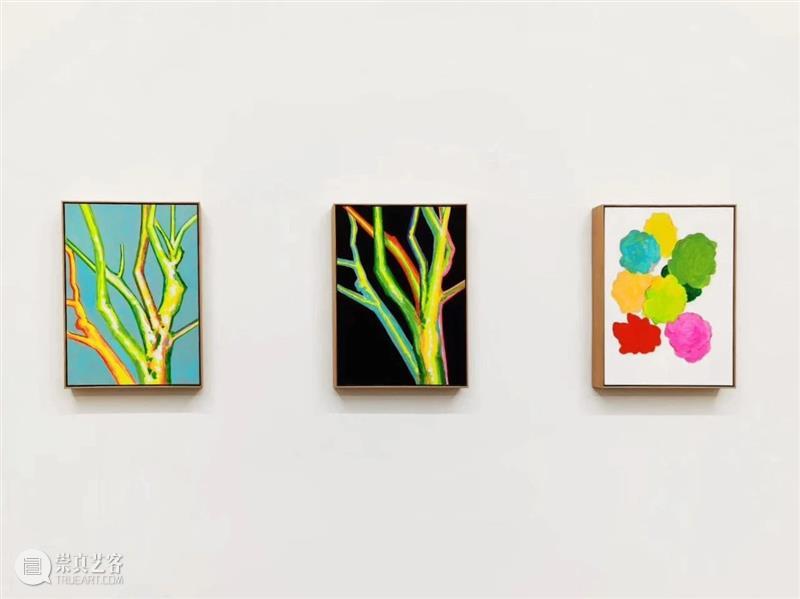 星空间|张晖『画什么都是一样的』展览回顾 星空间StarGallery 崇真艺客