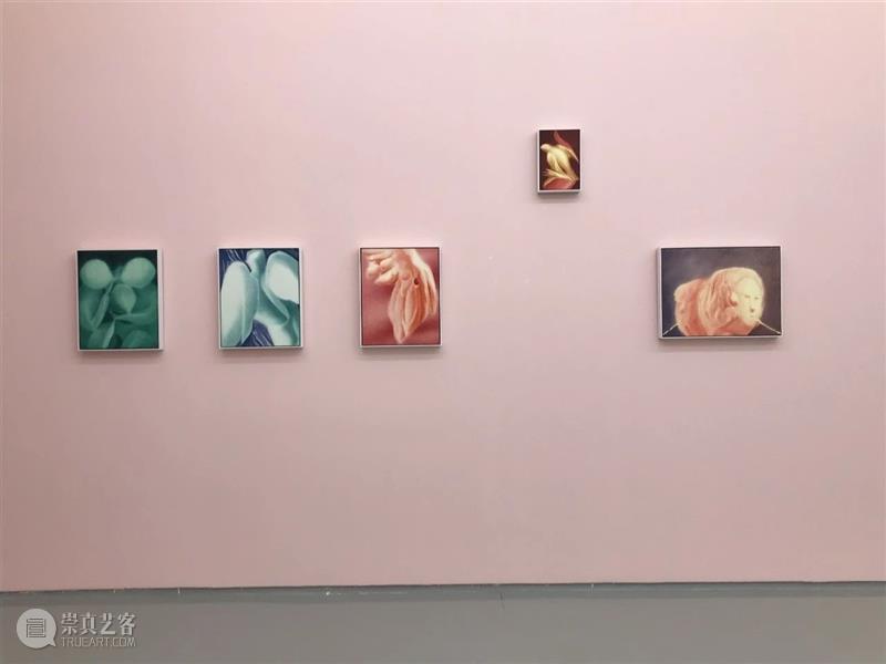 蜂巢双重跨年群展：变身之间 & 爱人的形状丨开幕邀请  Hive Art 蜂巢 跨年群展 之间 爱人 形状 当代 艺术 中心 between lovers 崇真艺客