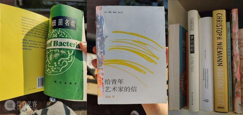 特别报道 | 你问我什么是参与艺术创作的最低门槛？  北京民生现代美术馆 门槛 如今 美术馆 商店 艺术家 李光 图书计划 部分 作品 人员 崇真艺客