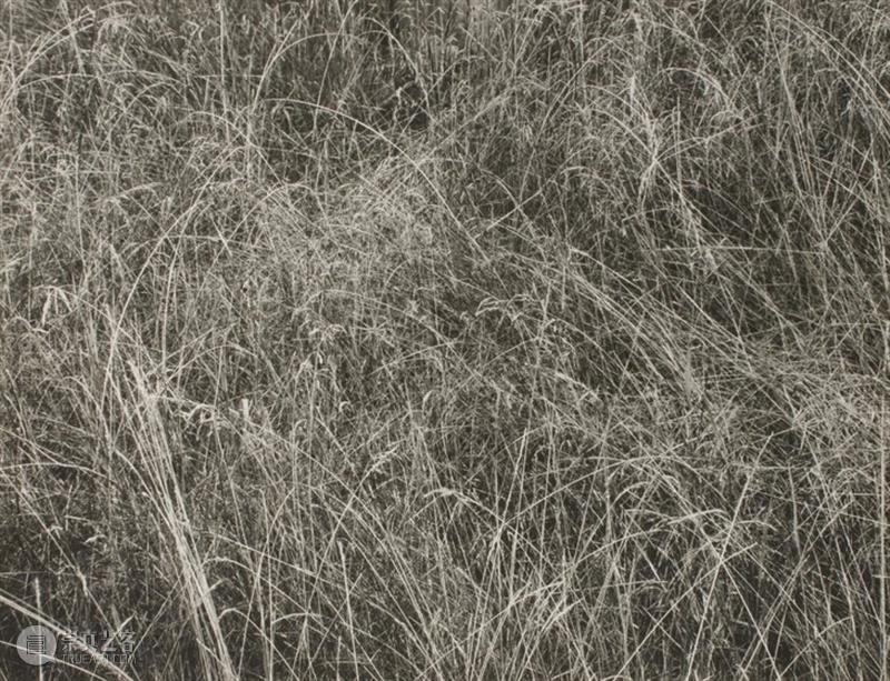 对谈｜Jeff Wall:我喜欢在退潮线看货船  木格堂 Wall Jeff 货船 Catalogue Raisonné 高古轩画廊 主编 策展人 加拿大温哥华 英吉利湾 崇真艺客