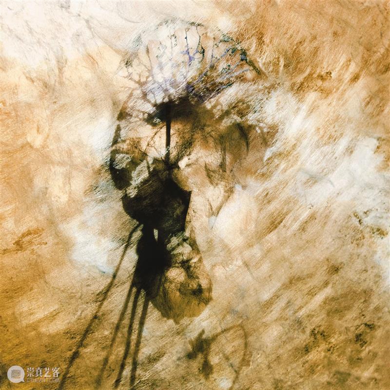 香格纳画廊 | 12月展览合集 Exhibition Calendar 合集 香格纳画廊 Calendar 观众 香格纳 艺术家 艺术 空间 作品 部分 崇真艺客