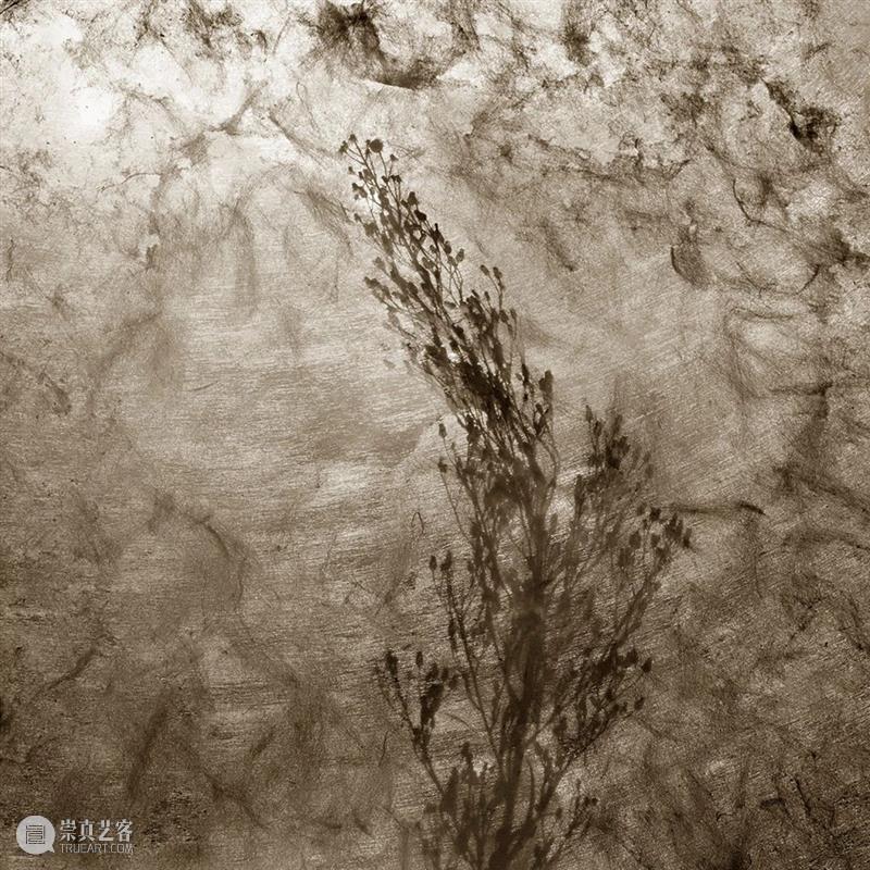 香格纳画廊 | 12月展览合集 Exhibition Calendar 合集 香格纳画廊 Calendar 观众 香格纳 艺术家 艺术 空间 作品 部分 崇真艺客
