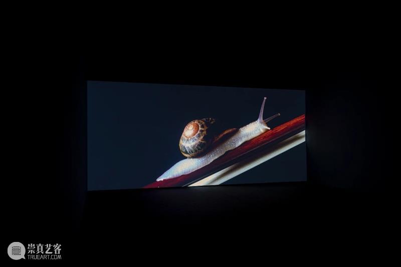 展览现场 | 桑塔画廊若干艺术家在中国大陆及台湾地区展览集萃 桑塔 画廊 艺术家 中国 大陆 台湾地区 现场 尾声 美术馆 以下 崇真艺客