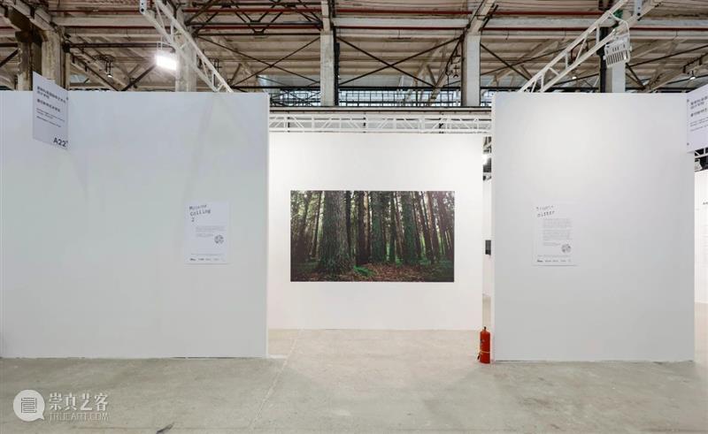 海内外顶尖艺术院校集结FutureLab,对未来艺术发展的探讨从这里开始 艺术 未来 FutureLab 院校 海内外 博览会 以下 教博会 期间 上海西岸艺术中心 崇真艺客