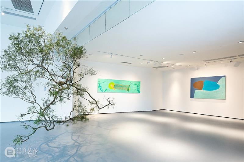 正在展出 | 胡军军：我向往的是“天心月圆，华枝春满” 胡军军 天心月圆 华枝春 宝龙 文化 厦门 宝龙艺术中心 涅槃 公众 色彩 崇真艺客