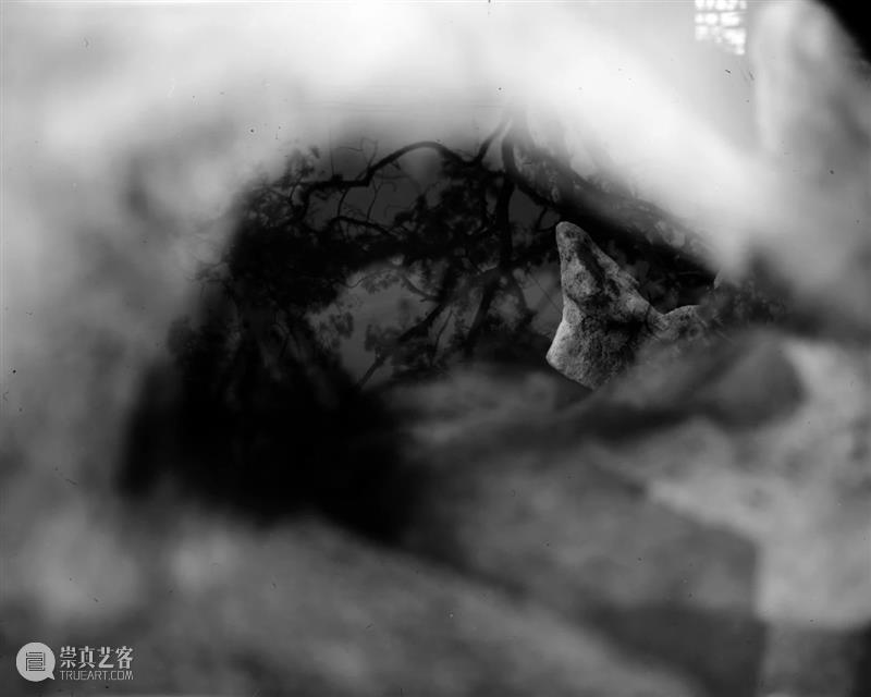 螺旋|周仰:不朽的林泉 林泉 周仰 螺旋 园林 一方 园中 外界 内外 时间 意义 崇真艺客