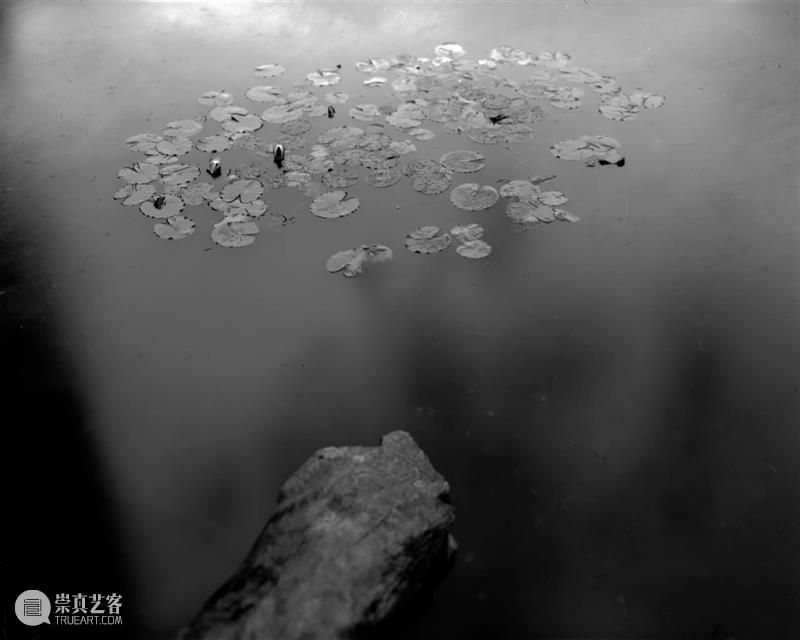 螺旋｜周仰：不朽的林泉 林泉 周仰 螺旋 园林 一方 园中 外界 内外 时间 意义 崇真艺客