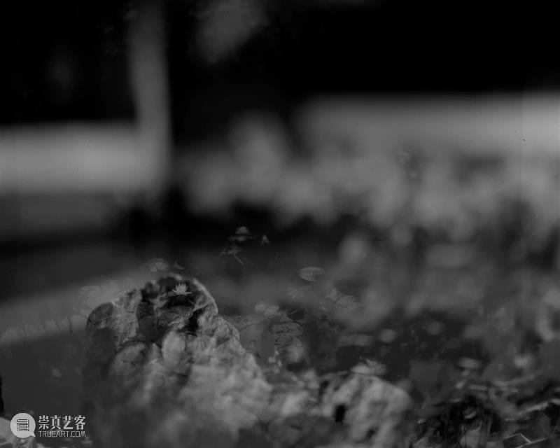 螺旋|周仰:不朽的林泉 林泉 周仰 螺旋 园林 一方 园中 外界 内外 时间 意义 崇真艺客