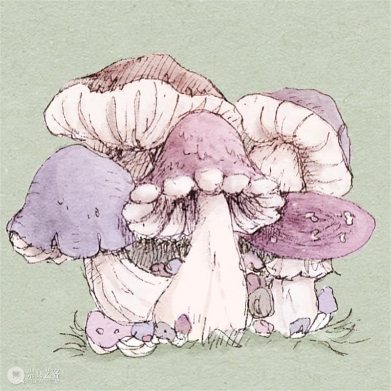 捉到一只小可爱 崇真艺客