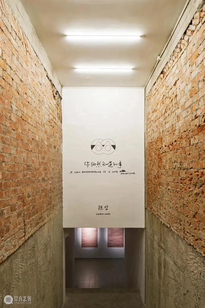 Newsstand186 | Google 2020年度热搜榜:为什么都在问why? Google why 经典 创意 商业 文化 资讯 动态 一早 文化力通讯 崇真艺客