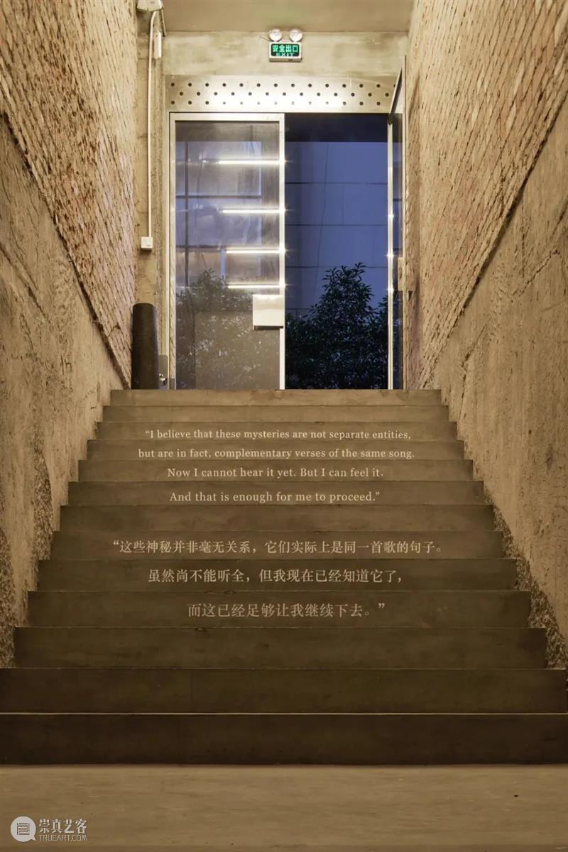 Newsstand186 | Google 2020年度热搜榜:为什么都在问why? Google why 经典 创意 商业 文化 资讯 动态 一早 文化力通讯 崇真艺客